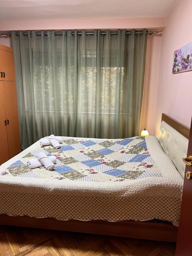 Entire Nice Apartment, In The Center تيرانا المظهر الخارجي الصورة