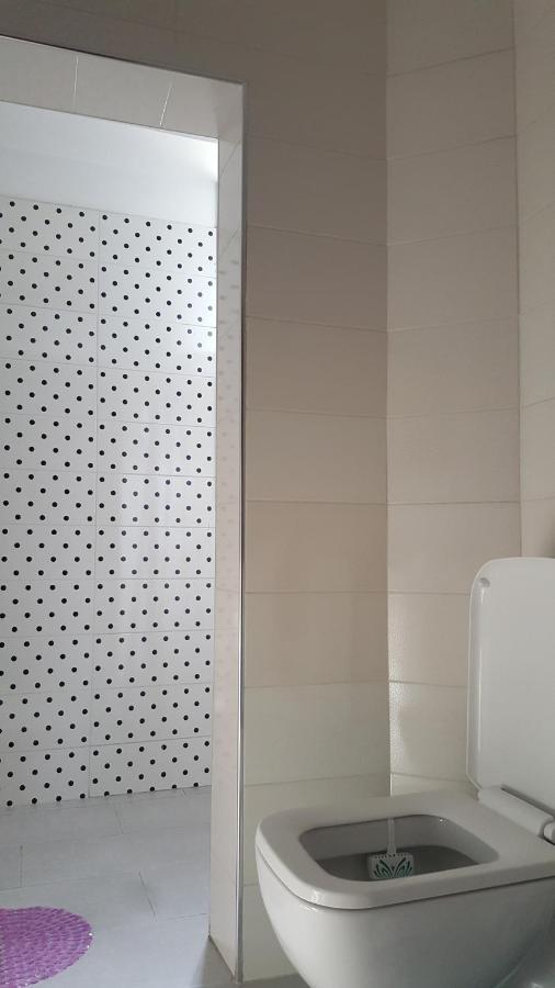 Entire Nice Apartment, In The Center تيرانا المظهر الخارجي الصورة
